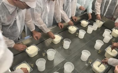 Produzione di formaggio/Sajtkészítés