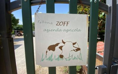 Fattoria Zoff/ Zoff Farm